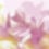 Maravillas panoramic wallpaper Coordonné Pink C00143