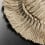Outdoor Pod005 Fringe Dedar Lino 03POD00500007