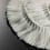 Outdoor Pod005 Fringe Dedar Bianco 03POD00500011