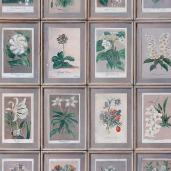 Papel pintado Floral