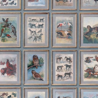 Papel pintado Zoology