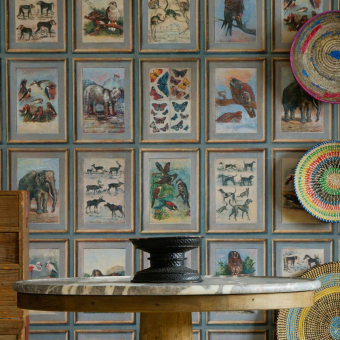 Papier peint Zoology Papier peint Zoology