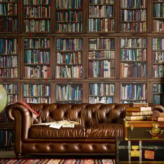 Philosopher panoramic wallpaper