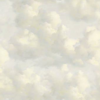 Silence of the Sky Panoramic Wallpaper