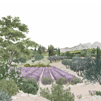 Panorama-Tapete Provence Farbe