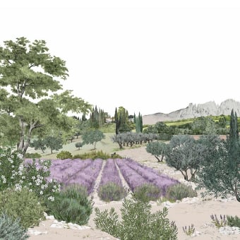 Papier peint panoramique Provence Couleur