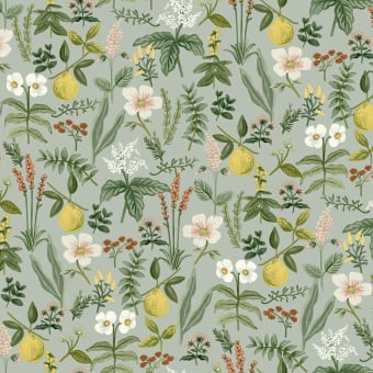 Papier peint adhésif Herb Garden