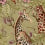 Royal Giraffe Wallpaper Cole and Son Safari 129/3013