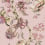 Papier peint Protea Panthera Cole and Son Rose Quartz 129/6024
