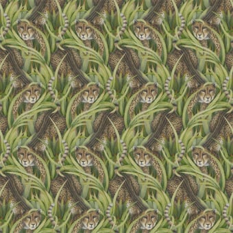 Cheetah Prowl Wallpaper