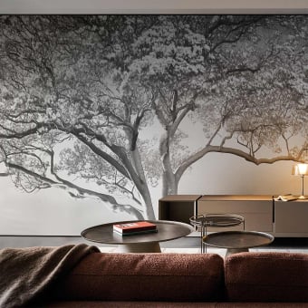 Papier peint panoramique The Silent Witness