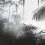 Papier peint panoramique Linear Palms Londonart Charbon Élégant 25016-3