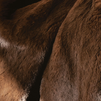 Tessuto Maison Prélonge