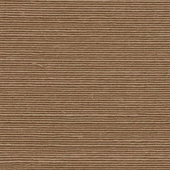 Carta da parati Agave