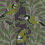 Birdsong Wallpaper Isidore Leroy Oyat 6269803