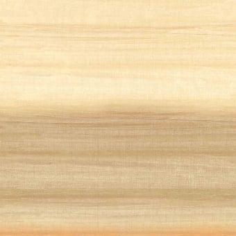 Chanderi Panoramic Wallpaper