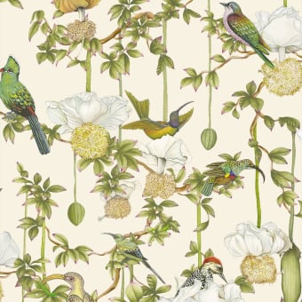 Baobab Botanica Tapete