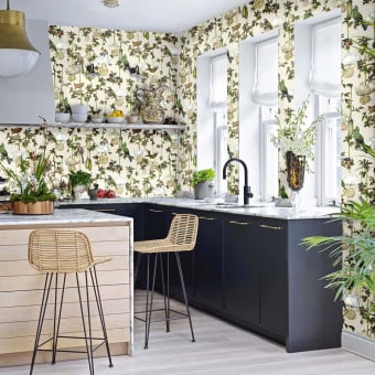 Baobab Botanica wallpaper