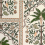 Amazonas Mystique Wallpaper Schumacher Echoes Of The Rainforest 5016940