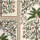 Carta da parati Amazonas Mystique Schumacher Echoes Of The Rainforest 5016940