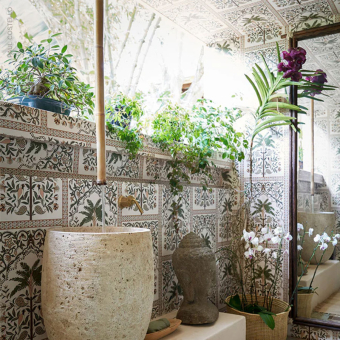 Papier peint Amazonas Mystique