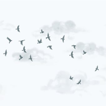 Murmuration Panoramic Wallpaper
