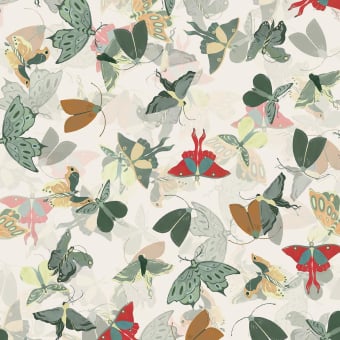 Papier peint Papilio