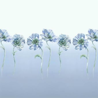 Poppy Panoramic Wallpaper