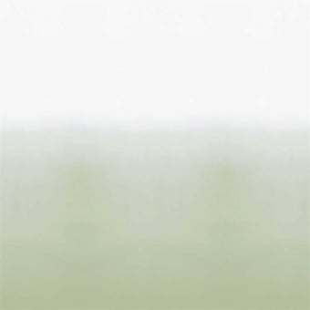 Panorama-Wallpaper Mohnblume Schatten