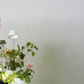 Panorama-Wallpaper Mohnblume Schatten