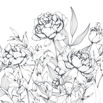 Peony Caress Panoramic Wallpaper