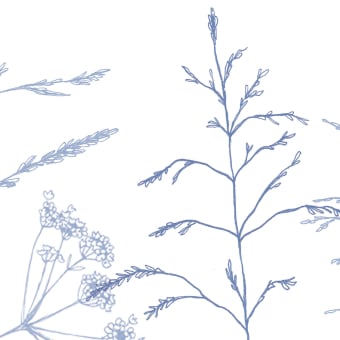 Panoramic wallpaper In the fields