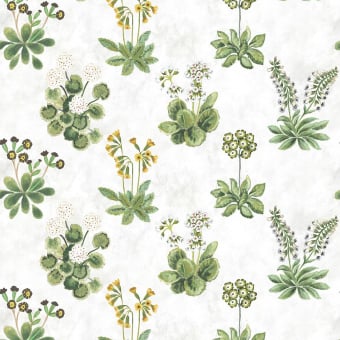 Primrose Fabric