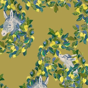 Papier peint Citron'âne