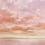 Cumulus Clouds Panoramic Wallpaper Coordonn&eacute; Peach D00159
