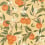 Carta da parati Naranjos Coordonn&eacute; Ocre YSP0610