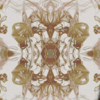 Pheobe Panoramic Wallpaper