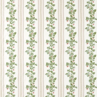 Tessuto Cobnut Stripe