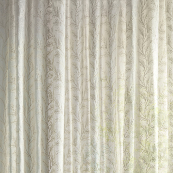 Voile Sea Fern