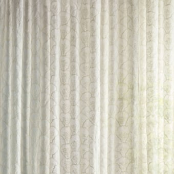 Voile Coral Mount