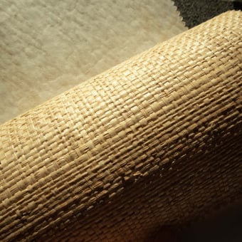 Raphia Sauvage Wall Covering
