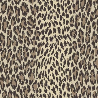 Wild Card Panoramic Wallpaper