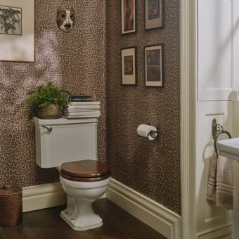 Wild Card Panoramic Wallpaper