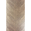 Carta da parati Mey Fern Nina Campbell Brun NCW4154-02