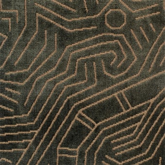 Tissu Darwinista