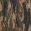 Tissu Bomarzo Dedar Verdure 00T2602600001