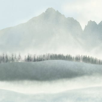 Panorama-Tapete Aravis