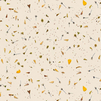 Carta da parati Floral Confetti