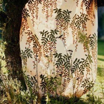 Tissu Monde Botanique