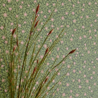 Carta da parati Blossom